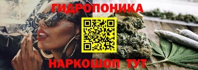 крисы Апрелевка