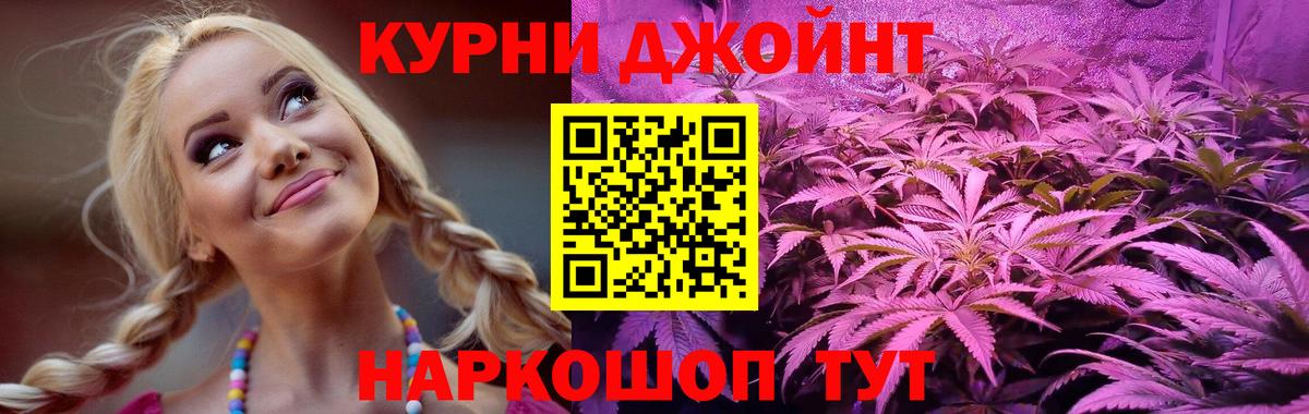 Каннабис индика Ачхой-Мартан
